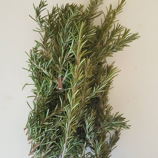 Organic rosemary | loose rosemary | rosemary branches | fresh rosemary