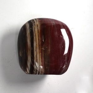 Petrified Wood Freeform
