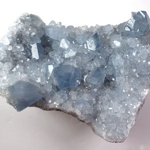 Celestite Geode, with Crystals blooming