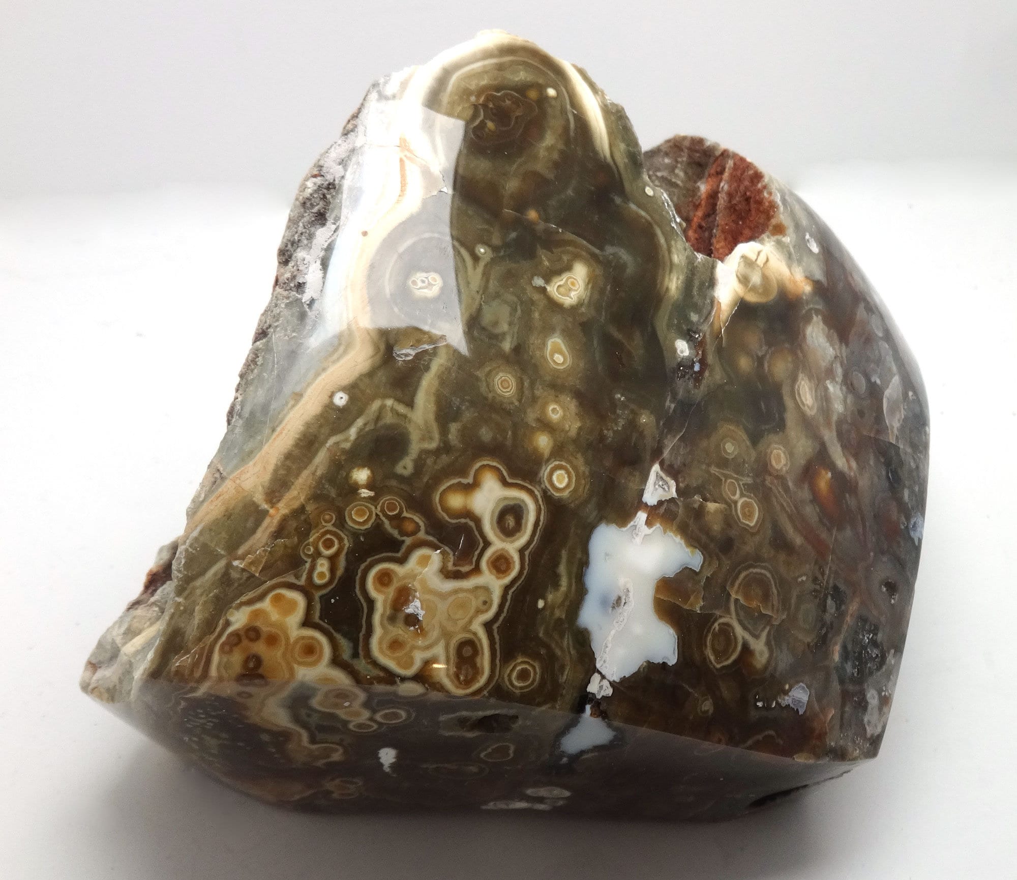 Orbicular Jasper Natural Part Polished Etsy Ireland