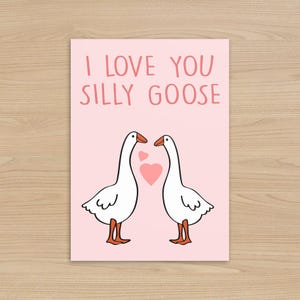 Tarjeta de cumpleaños de Silly Goose, divertida tarjeta para parejas, linda tarjeta de aniversario, tarjeta de cumpleaños para novio/novia, regalo de San Valentín