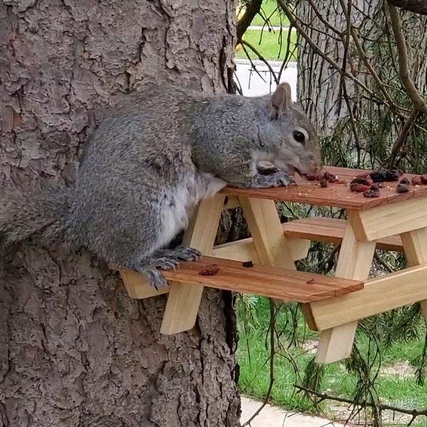 Squirrel Picnic Table Etsy
