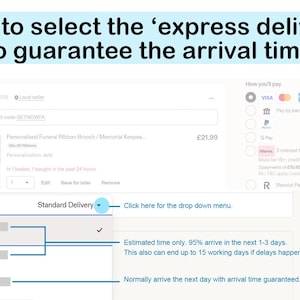 May include: Screenshot showing how to select express delivery. The text reads, "How to select the 'express delivery' to guarantee the arrival time." The image highlights the drop-down menu for delivery options.