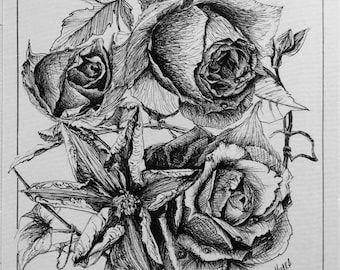 Rose & Clematis Duo, Ink Drawing, Illustration, Black and White