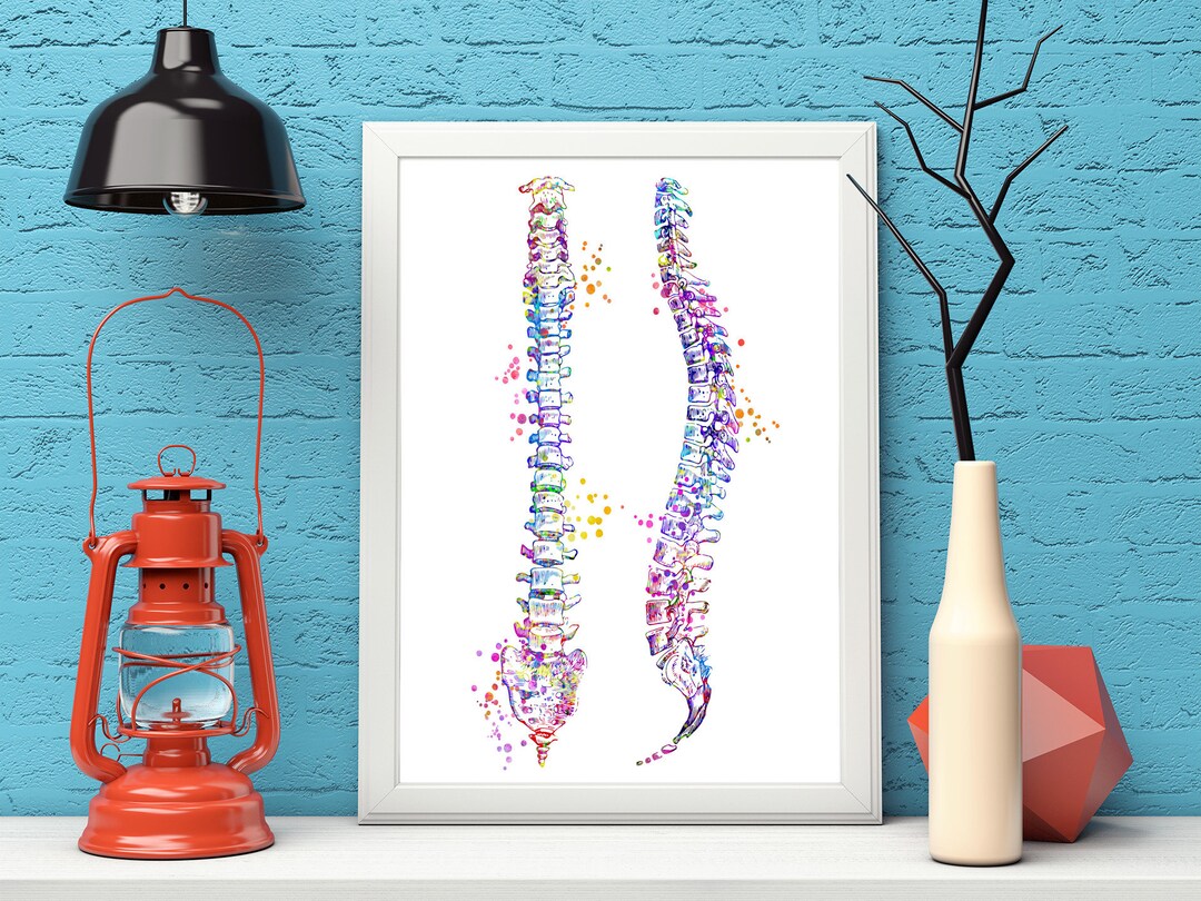 Spine Art Poster Spinal Print Medical Art Work, Office Decor, Doctor ...