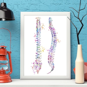 Spine Art Poster Spinal Print Medical Art work, Office decor, Doctor, Nurse, Digital Download, Art Prints, Medical Gifts