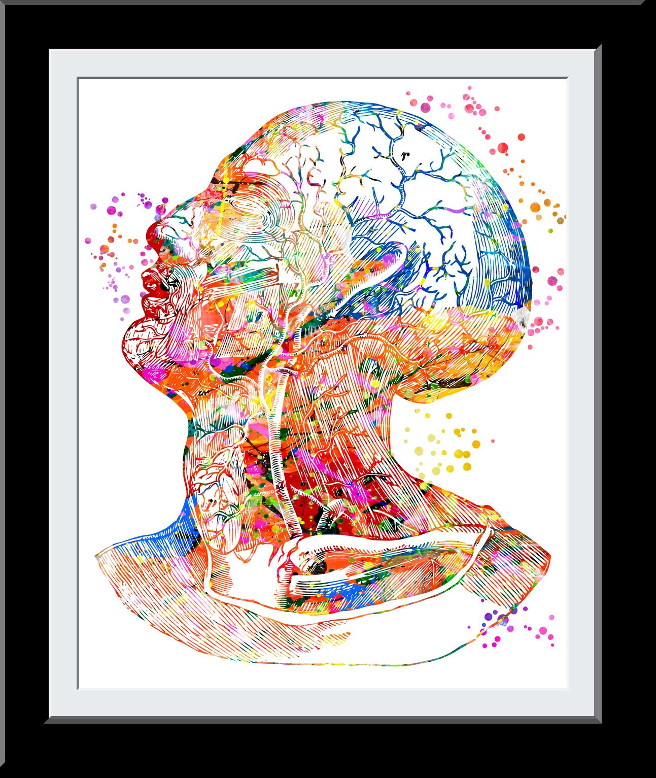 Organon of the Medical Art: Hahnemann, Samuel, O'Reilly