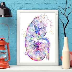 Kidney Artwork Print Nephrology Art Body Art, Medical Art work, Office decor, Doctor, Nurse, Digital Download, Art Prints, Medical Gifts