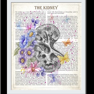 Rene Arte Stampa floreale Poster Fiore Anatomia Reni Stampa Vintage Nefrologia infermiera Regalo Medico Idea Regalo Poster Medico Scuola Laurea