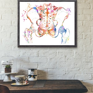 Pelvis Art Print, Body Medical Art, Medical Art work, Office decor, Doctor, Nurse, Digital Download, Art Prints, Medical Gifts