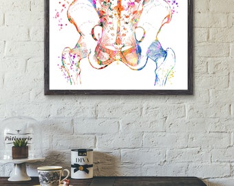 Pelvis Art Print, Body Medical Art, Medical Art work, Office decor, Doctor, Nurse, Digital Download, Art Prints, Medical Gifts
