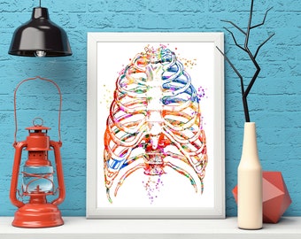 Ribs Body Medical Art, Ribcage Art Print, Medical Art work, Office decor, Doctor, Nurse, Digital Download, Art Prints, Medical Gifts