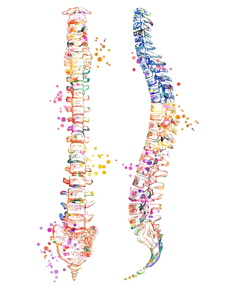 Spine Art Print Spinal Poster Medical Art Work, Office Decor, Doctor ...