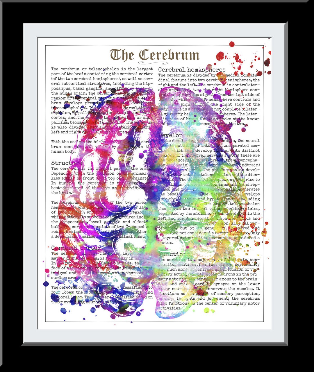 Brain Art Poster Cerebrum Anatomy Watercolor Print Psychology ...