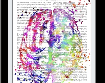 May include: A colorful watercolor illustration of the human brain with text describing the cerebrum and its functions. The text includes the words "The Cerebrum", "Cerebral Hemispheres", "Structure", "Development", and "Function".