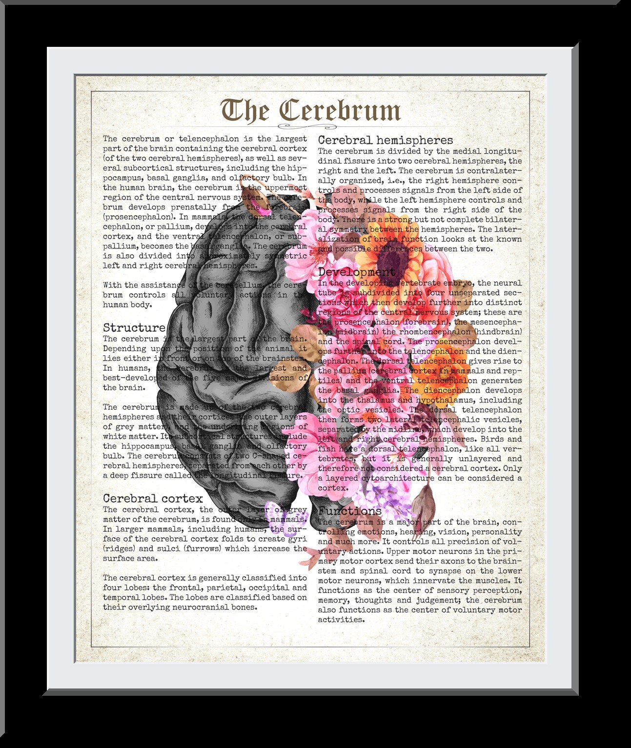 Brain Art Print Cerebrum Flower Anatomy Print Psychology - Etsy