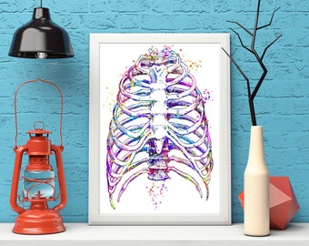 Ribcage Art Print, Ribs Body Medical Art, Medical Art work, Office decor, Doctor, Nurse, Digital Download, Art Prints, Medical Gifts