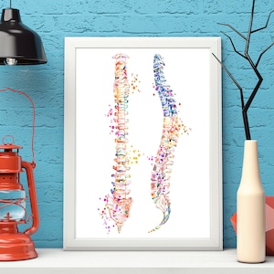 Spine Art Print Spinal Poster Medical Art work, Office decor, Doctor, Nurse, Digital Download, Art Prints, Medical Gifts