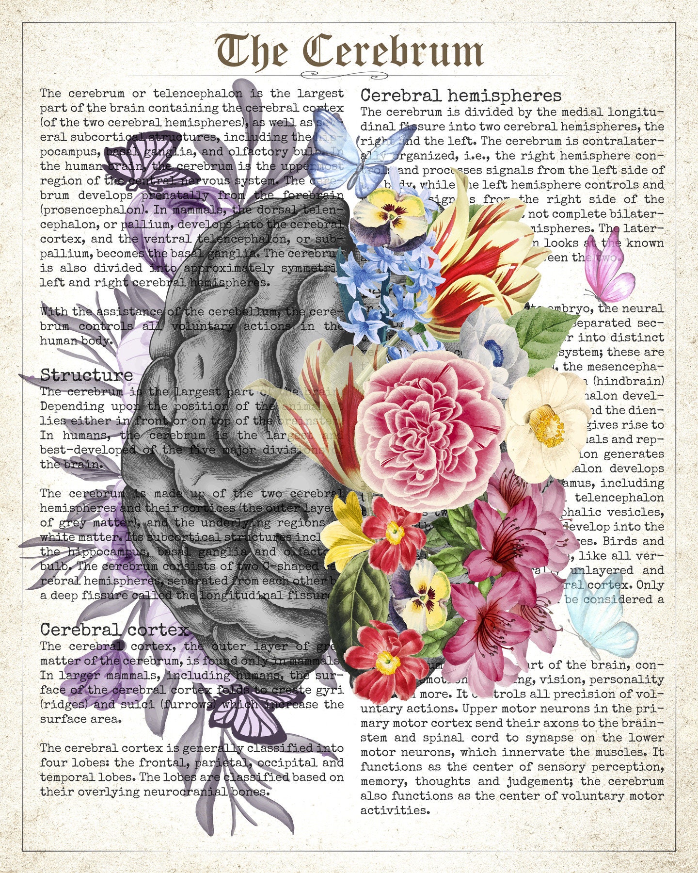 Brain Art Flower Anatomy Print Vintage Psychology Neurologist Etsy