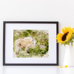 May include: A watercolor painting of a white mountain goat standing in a field of green grass. The goat is looking to the right of the image. The background is a watercolor wash of green, brown, and white.