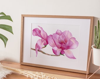 Pink Magnolia Watercolor Art Print, Botanical Illustration