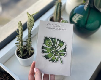 Monstera Fridge Magnet, Plant Magnet, Flat Fridge Magnet, Car Bumper Magnet, Dry Erase Board Magnet, Cute Magnet Art, Housewarming Gift