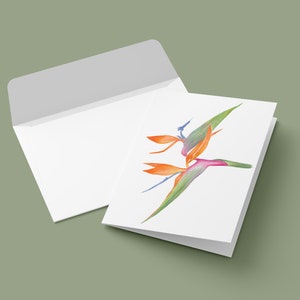 Paradijsvogel Notecard, wenskaart bloemen, botanische Notecard, aquarel Notecard, geïllustreerde Notecard, kaart Botanische kunst