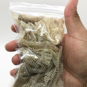 May include: A clear plastic bag filled with several pieces of beige snake skin. The skin is translucent and has a delicate, patterned texture.