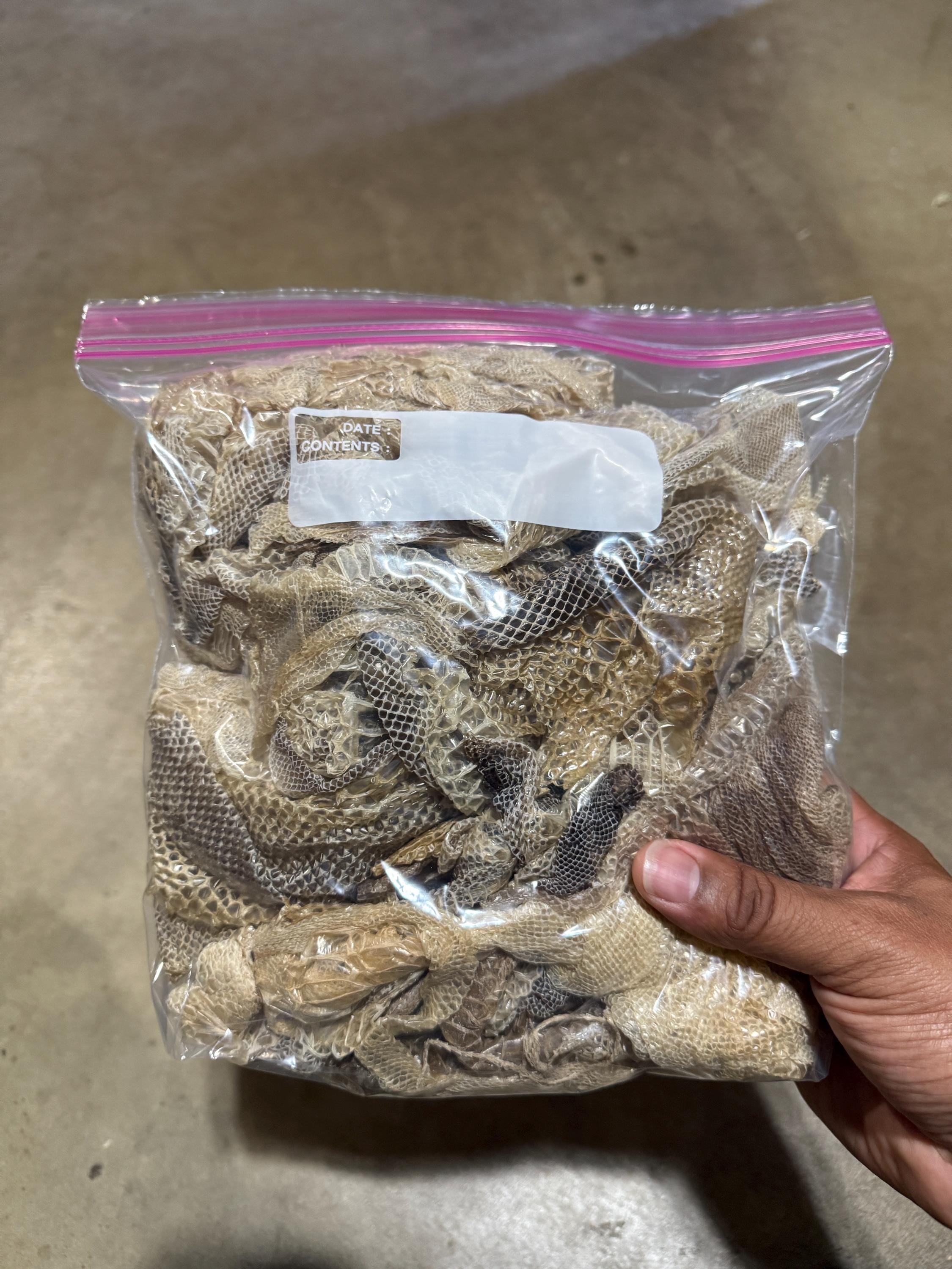 Extra Large Assorted Snake Shed Skin Boa Constrictor (38 Gallon Bag) - Etsy