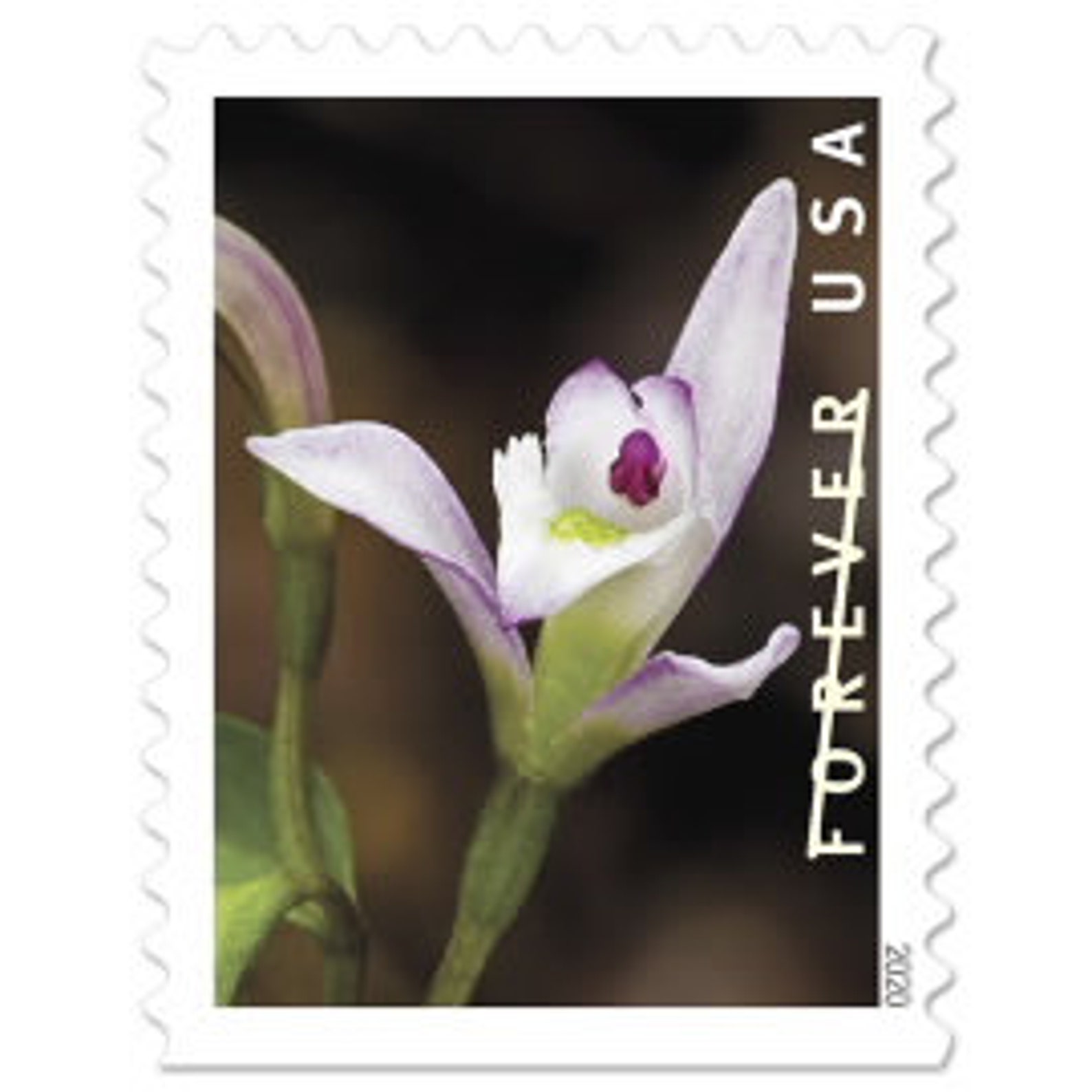 USPS Forever Stamp United States Postal Service Forever Etsy