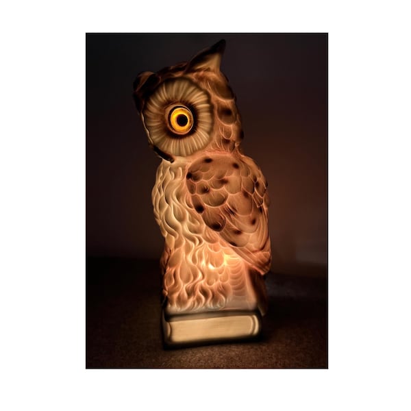 Peut inclure: Une lampe figurine en forme de hibou blanc translucide posée sur une base rectangulaire. Le hibou présente des textures de plumes détaillées et un œil ambré lumineux. La source lumineuse interne illumine le corps, créant une lueur douce.