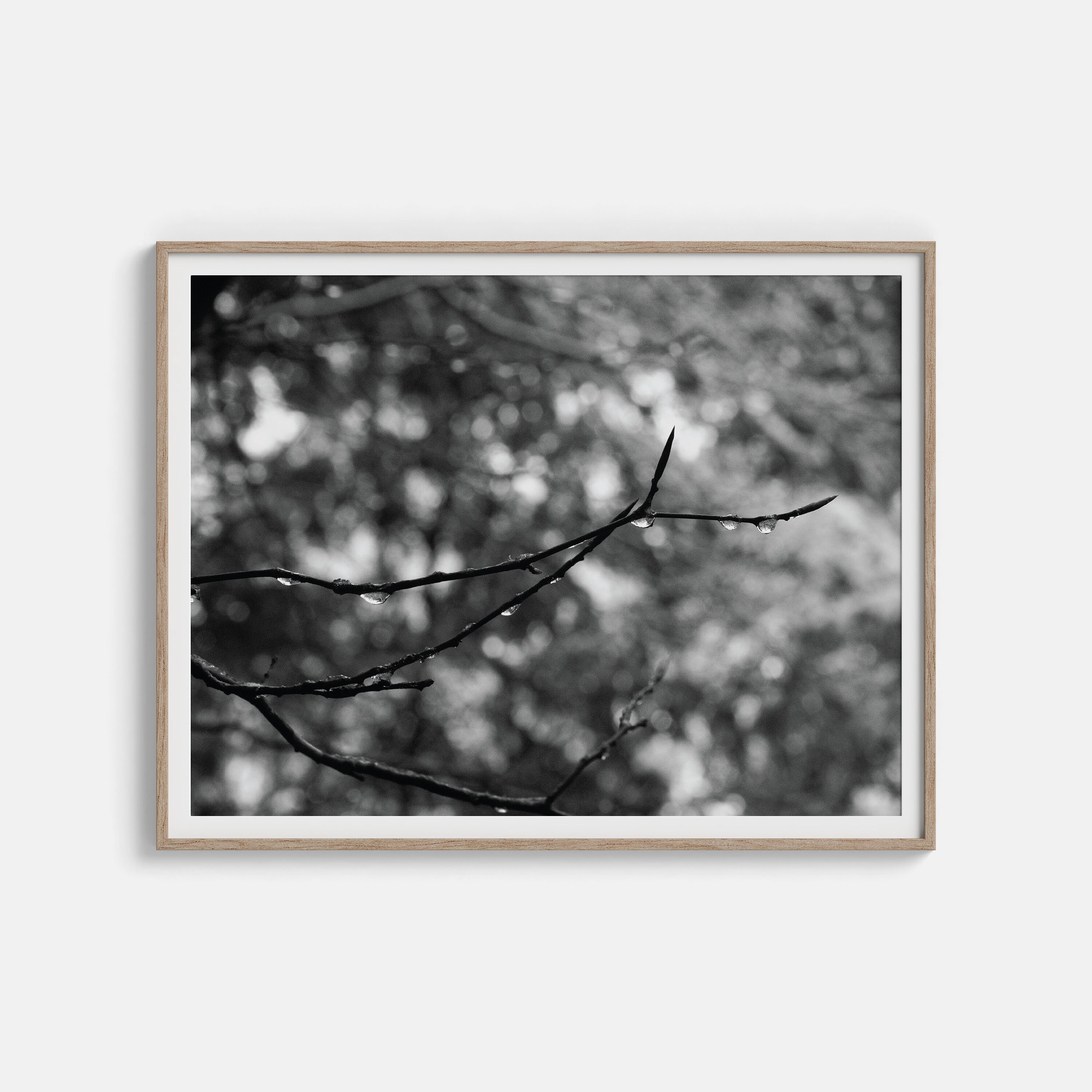 Abstract Black and White Tree - Etsy