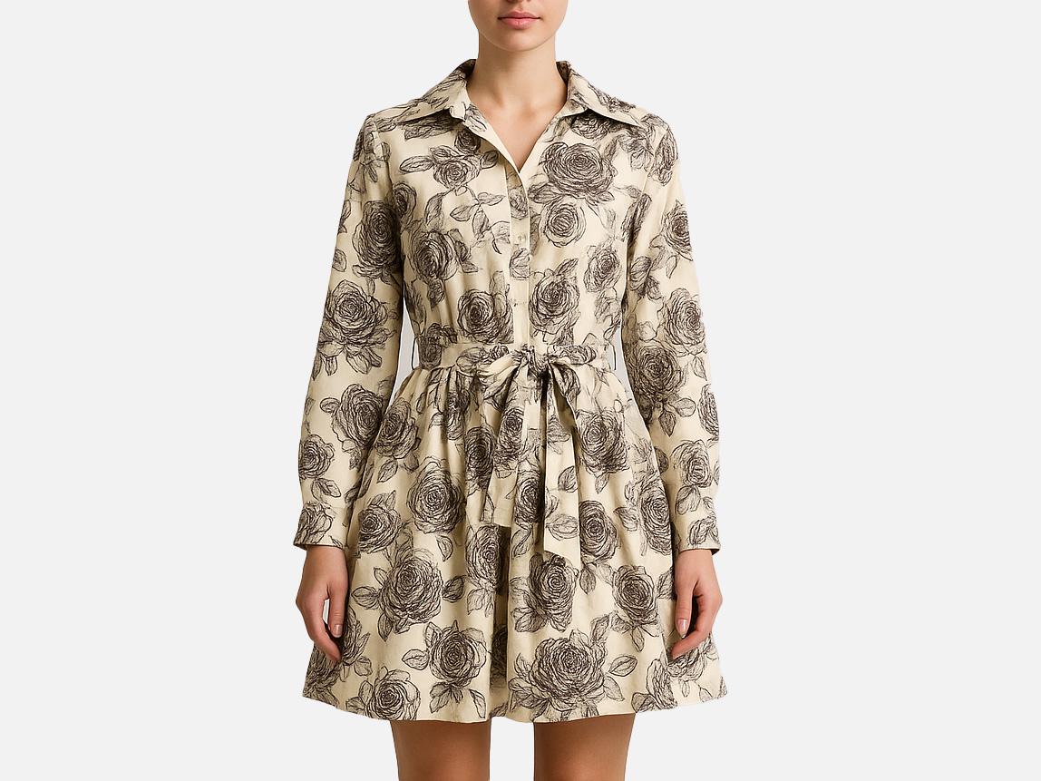 brown toile dress JENNY MAXI DRESS TOILE L main image 0