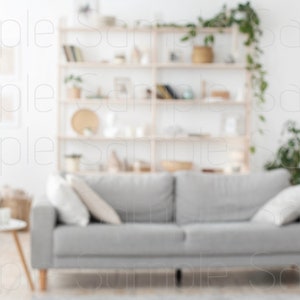 Zoom Virtual Backgrounds | Backdrop | Office Background | Microsoft Teams | Facebook | WebEx | Skype | Google Meet | Blur digital backdrop