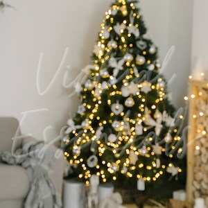 Può includere: Un albero di Natale decorato con ornamenti bianchi e argentati e luci. L'albero è davanti a un camino con una stufa a legna e calze appese al camino.