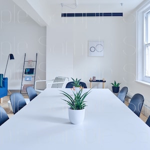 Virtual Background | Zoom | Teams | Skype | Office | Professional | Backdrop | Teacher