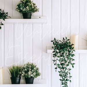 Refreshing Greenery: Lively Zoom Virtual Background
