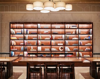Bookcase | Zoom Virtual Backgrounds | Backdrop | Office Background | Microsoft Teams | Facebook | WebEx | Skype | Google Meet