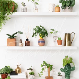 May include: White shelves displaying a variety of potted plants, including trailing vines, succulents, and leafy greens. A yellow and blue striped vase holds a large-leafed plant. Other items include a brass watering can and a small cactus-shaped planter.