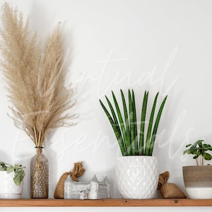 May include: A wooden shelf with a variety of decorative items, including a vase with dried pampas grass, a potted snake plant, a small potted plant, a gold metal decorative stand, a small white ceramic house, and two burlap sacks.