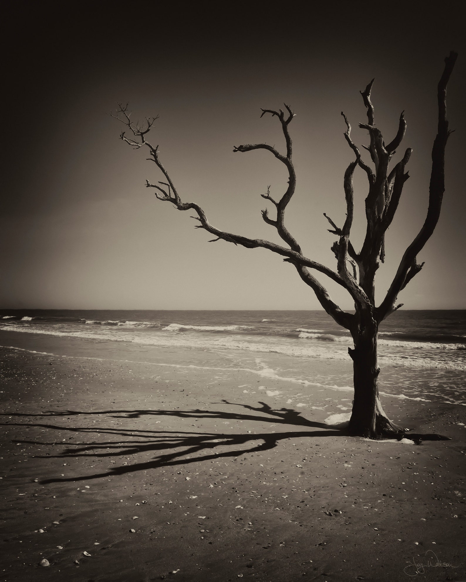 Unframed 8x10 Black and White or Monochromatic Images 2 Etsy