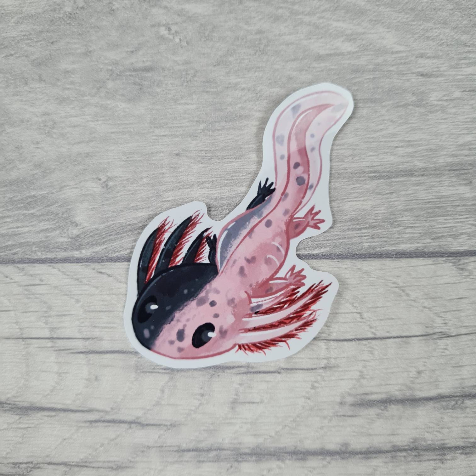 Axolotl Stickers Scrapbook Sticker Pack Journaling Stickers Etsy