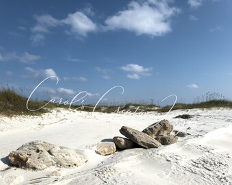 Carol S Creative Images By Carolscreativeimages On Etsy