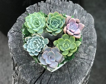 Handcrafted Concrete Double Heart Planter Filled With A Charming Live Succulent Assortment. Give a Lasting and Unique Gift!