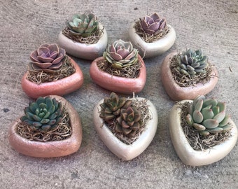 Handcrafted Heart Party Favors Planted w 2" Succulents. Wedding favor, Bridal shower favor, Succulent Baby shower favor, succulent favors