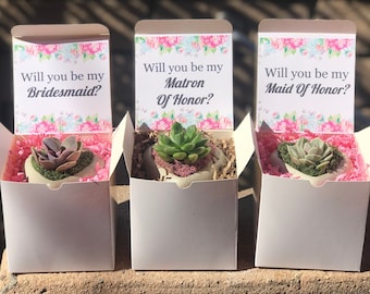 Handcrafted Mini Heart Succulent Gift box. Wedding Party proposal Gift box, Bridesmaid proposal Succulent Gift box. Ask with a lasting gift