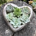 see more listings in the Heart Arrangements section