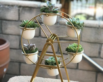 Ferris wheel meets Succulent in this Fun and Playful Planter. Lush Colorful Succulents included. Send a Unique Gift!