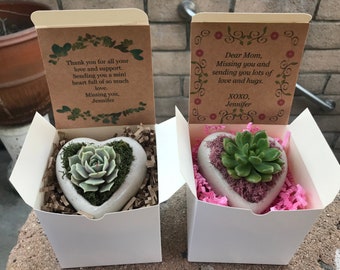 Mini Heart Succulent Planter in a Personalized Gift Box. Live succulent arrangement. Succulent heart, succulent gift, Mother's Day gift box