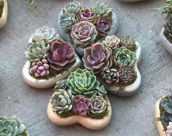 Preorder Succulent Mother's Day arrangement, succulent heart, Mother's day gift, Succulent for mom, plant mom arrangement, heart planter